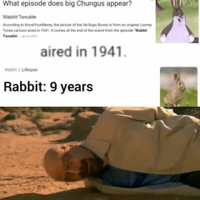 I'm 15 and this is yeet