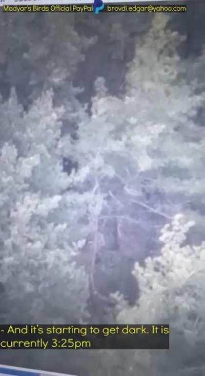 Madyar - UA drone recon. Hunting down a sniper that is observing Madyar's position. 28 Jan (posted 29th). PART 2. Subtitled