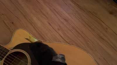 Don’t know how she did it but she’s clearly guilty.