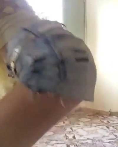 🌚