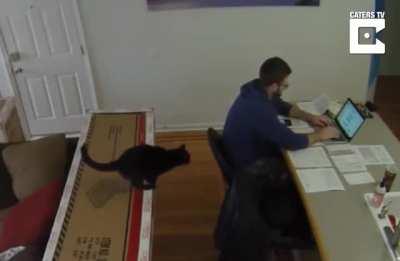 You are not cleared to land