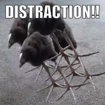 Just checking in on you guys. How are you all?