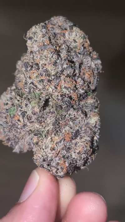Woody Nelson cherry chewbanger giant nug
