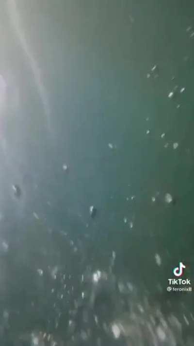 Masaya tlga sa batangas XD