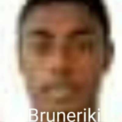 Bruneirik