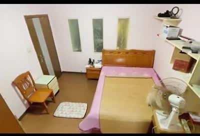 Have a Good Night Hooman.