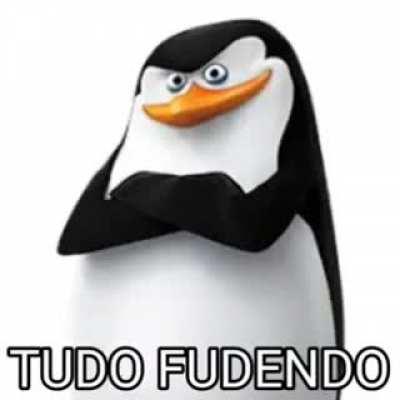 Tudo fodendo 😎🤙