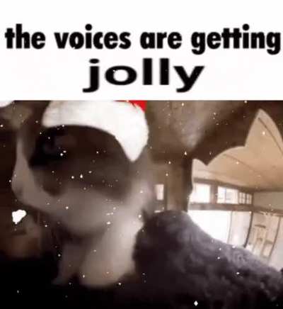 the voices are getting jolly