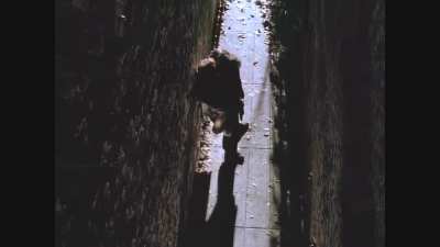 Jennifer Connelly Sexy Kissing and Hot Scene | Heart of Justice 1993