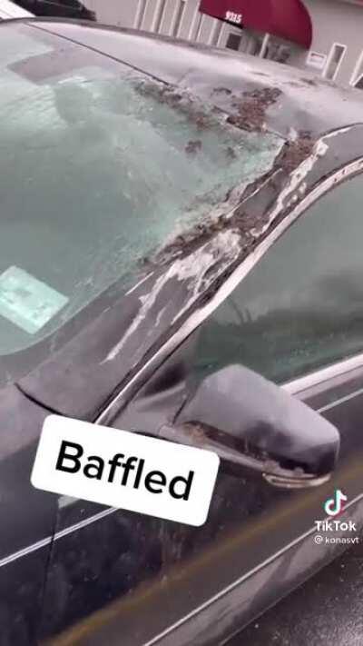 Well, we WERE promised flying cars by now.🤔