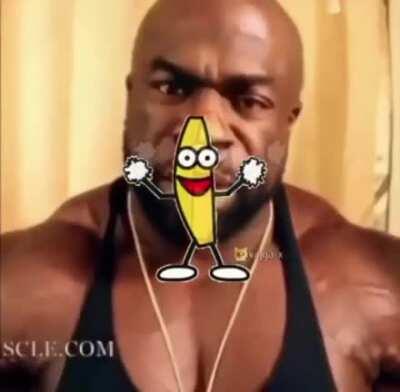 I’ve been on opium for the last ten days..