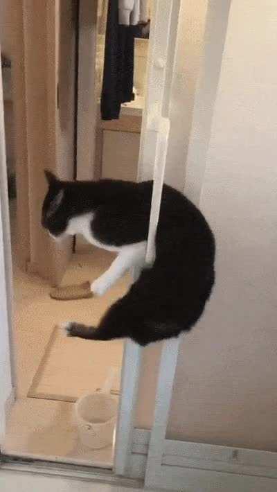 I'll see myself out.