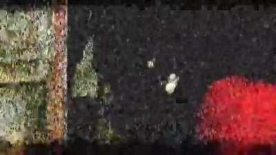 Creepy_Stop.avi [Unsettling] [Series]