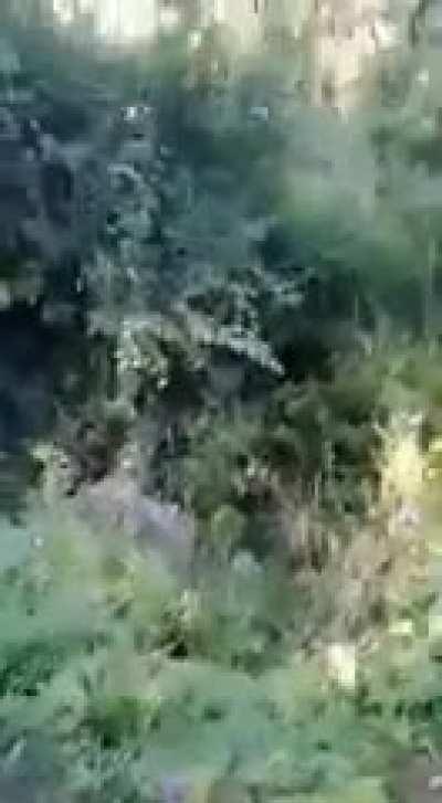 TF they fell of the cliff