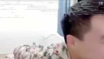 志刚 花开再见 😭😭😭😭😭😭