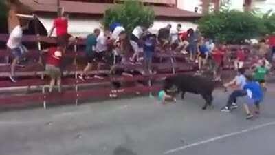 Bulls 2 Man 0: Bull-runner gets completely taken out by animal during Spanish festival