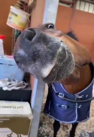 A little bit about versatile views...