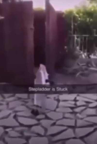 #117/ Stepladder ð¥µ