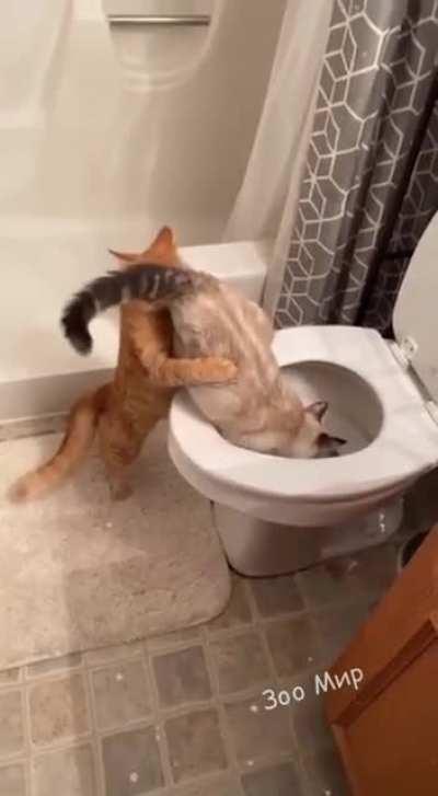 Enjoying the taste of fish 