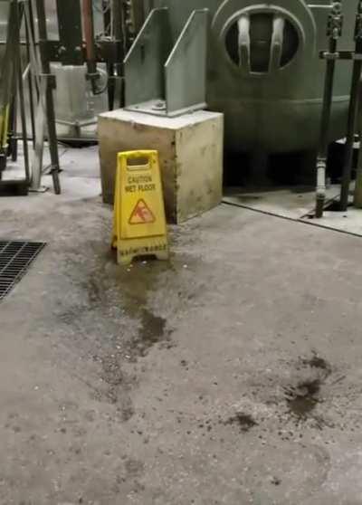 Wet Floor Sign is Alive