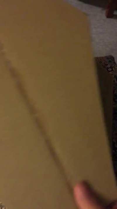 As requested by Mr. Cow: “YEP in a coffin”