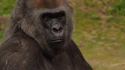 Going To Mars – Hype Video for GME 🚀