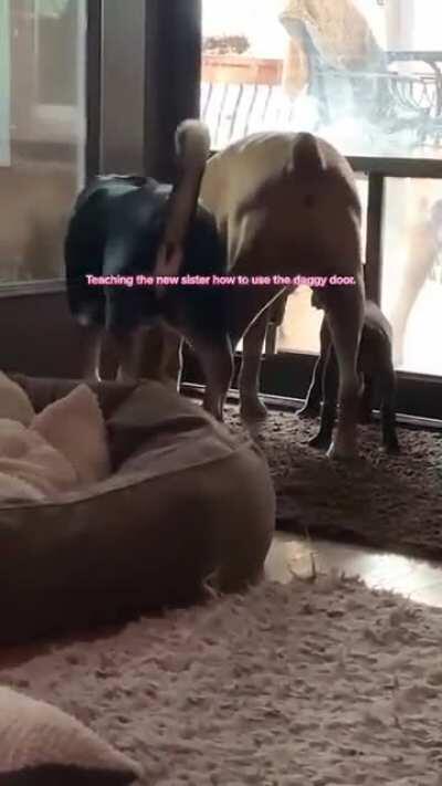 I was told to post this here. Posted in HumanBeingBros