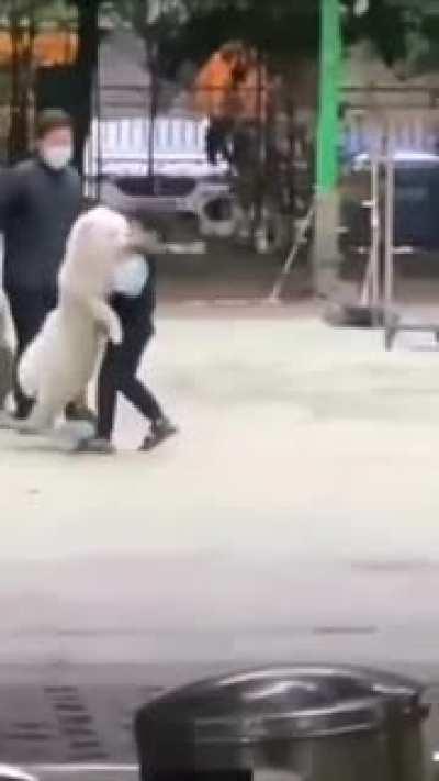 Even the dog expected him to move