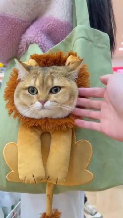 I could really use a bag like that