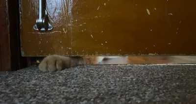 Had to close the door for a minute