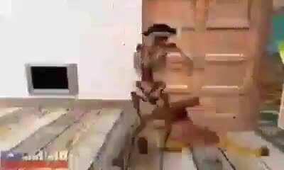 Average day in Mexico