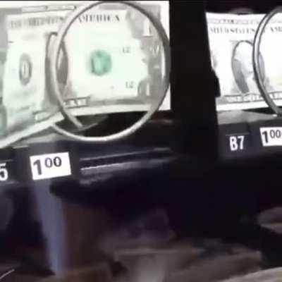 In an alternate universe