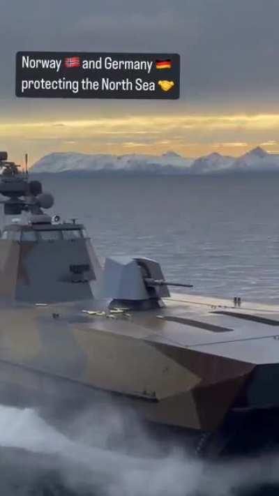 G🐛rms elping us on the sea