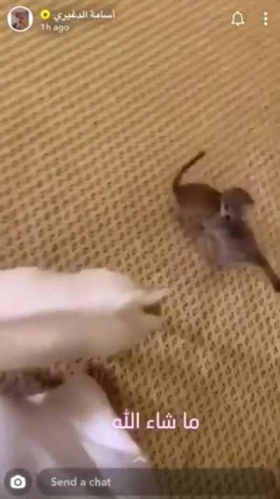 Some kids room in Saudi Arabia