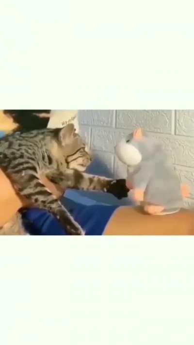 Average Greek vs Turk debate. 