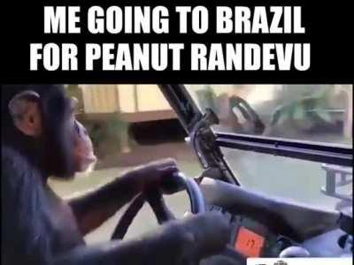 Fui a Brazil por mi propia voluntad