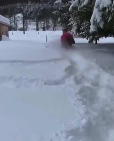 Just magical, Credit: Thoroughbred Today