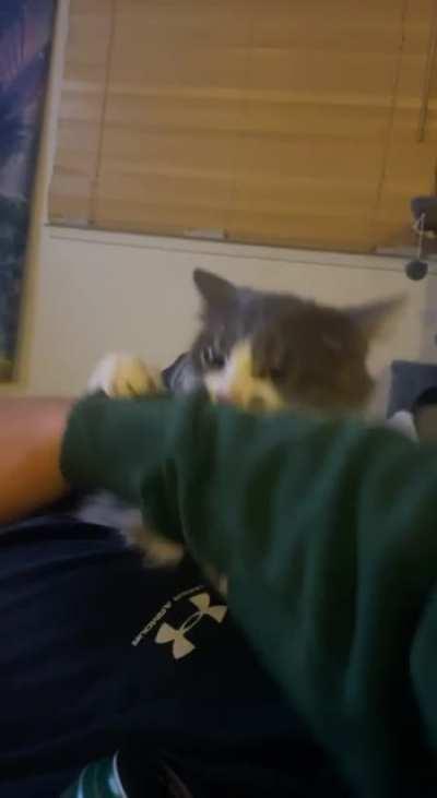 Dutchieee being Dutchie