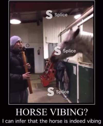 Forget the wipe start the fight!