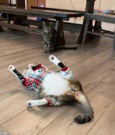 Somebody loves his new jammies!