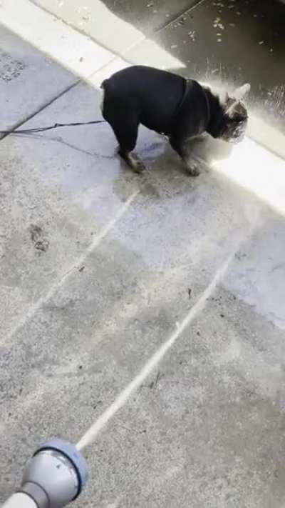 This cannot feel good