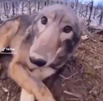 jakertown - Video #7563