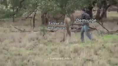 thank god demiurge made it in time because if he hadn't and entoma gets killed, all hell will break loose