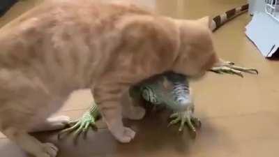 Love this little rubbing