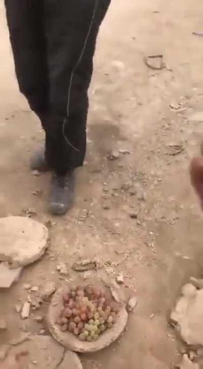 Fruits being preserved for upto 6 months in mud pods.