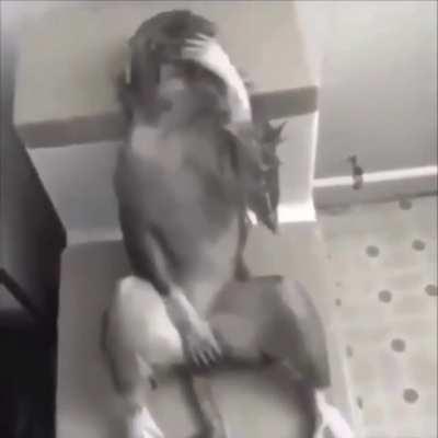 Can I find this Unravel acoustic version anywhere? (delete if not allowed)