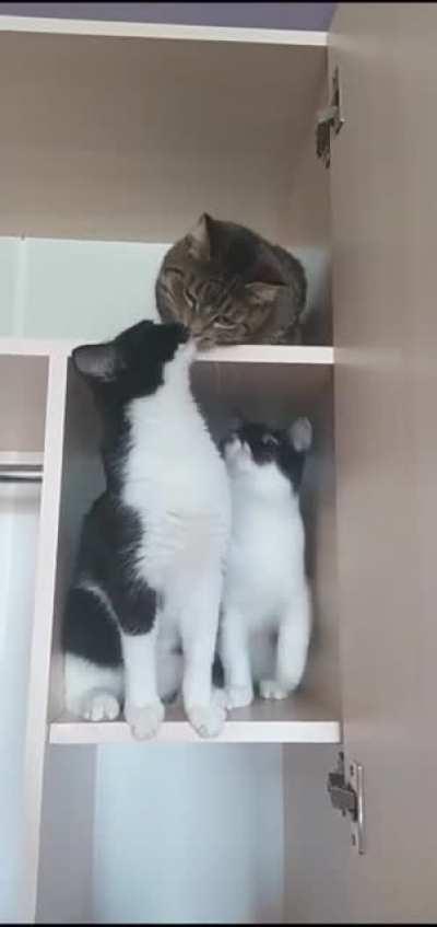 Hey why are you hitting me ?