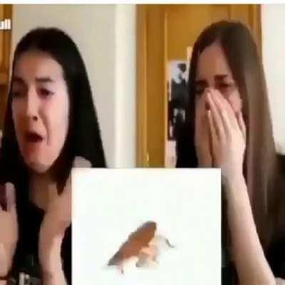 They have witnessed the C̷o̷c̷k̷r̷o̷a̷c̷h̷