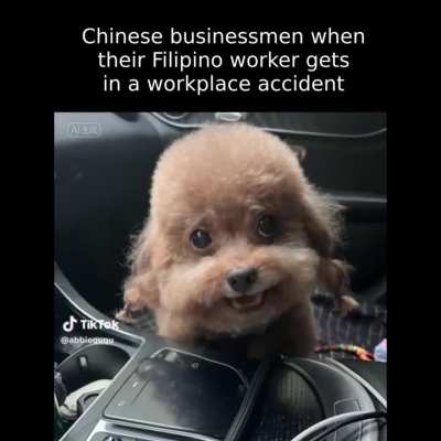 Langyong bao yo jinsan jinsan shin luyaw