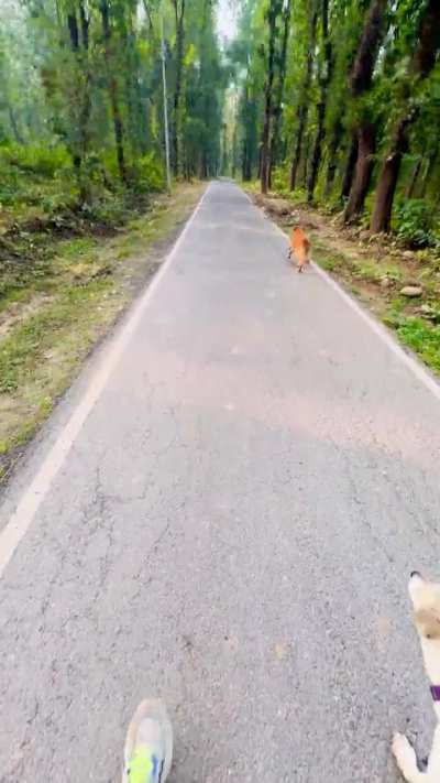 There is no Wi-Fi in the forest, but I promise you will find a better connection.🫠🥰